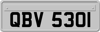 QBV5301