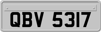 QBV5317