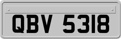 QBV5318