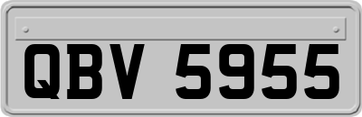 QBV5955