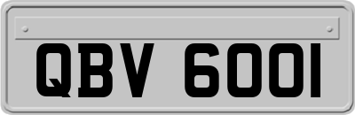 QBV6001