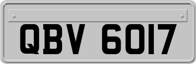 QBV6017