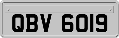 QBV6019