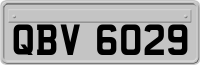 QBV6029