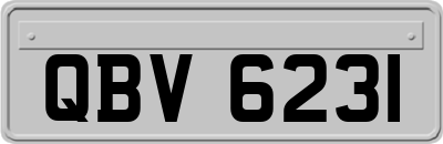 QBV6231