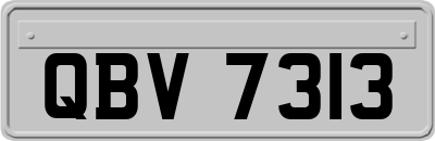 QBV7313