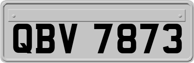 QBV7873