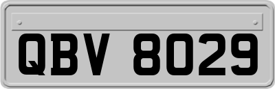 QBV8029
