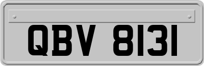 QBV8131