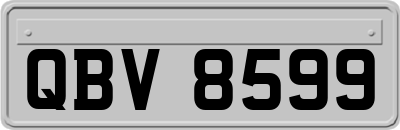 QBV8599