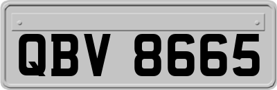QBV8665