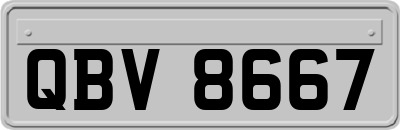 QBV8667