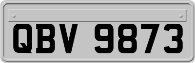 QBV9873