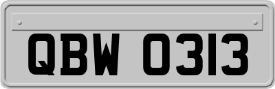 QBW0313