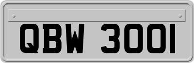 QBW3001