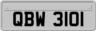 QBW3101