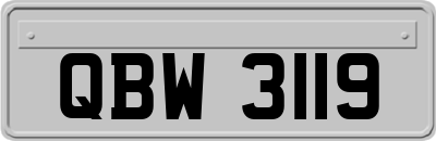 QBW3119