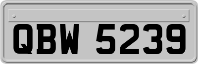 QBW5239