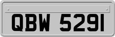 QBW5291