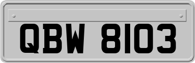 QBW8103