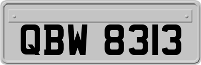 QBW8313