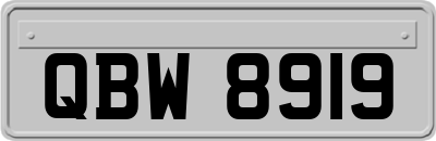 QBW8919