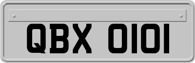 QBX0101
