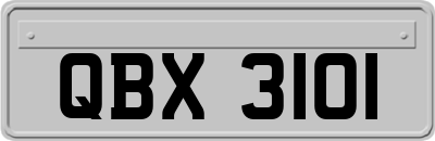 QBX3101