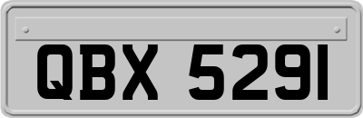 QBX5291