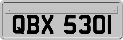 QBX5301