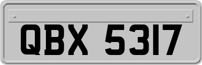 QBX5317