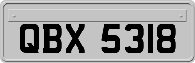QBX5318