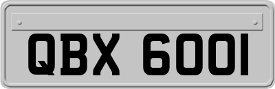 QBX6001