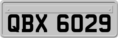 QBX6029