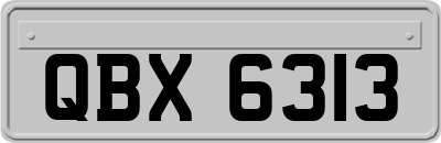 QBX6313