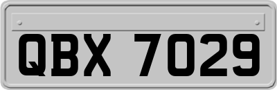 QBX7029