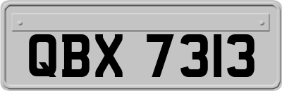 QBX7313
