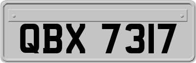 QBX7317