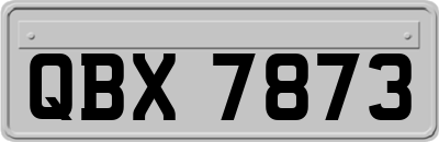 QBX7873