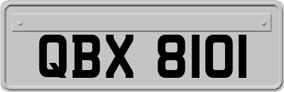 QBX8101