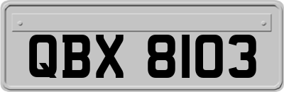 QBX8103
