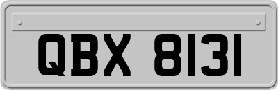 QBX8131