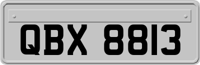 QBX8813