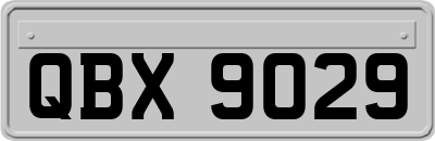 QBX9029