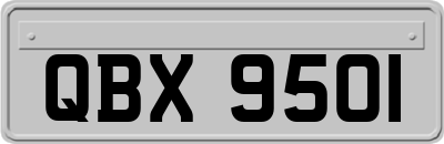 QBX9501