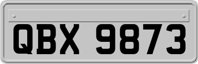 QBX9873