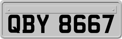 QBY8667