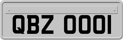 QBZ0001