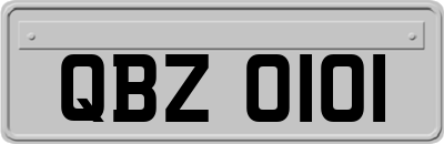 QBZ0101