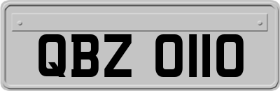 QBZ0110